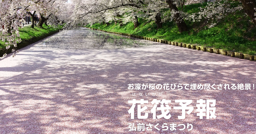 弘前公園 弘前城 の桜の花筏 はないかだ 予報 弘前さくらまつり21